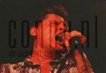 06-02-2001 Golden Earring, Barry Hay live at Stadsschouwburg Leiden. February 06, 2001.

[keywords]Live Performance[/keywords]